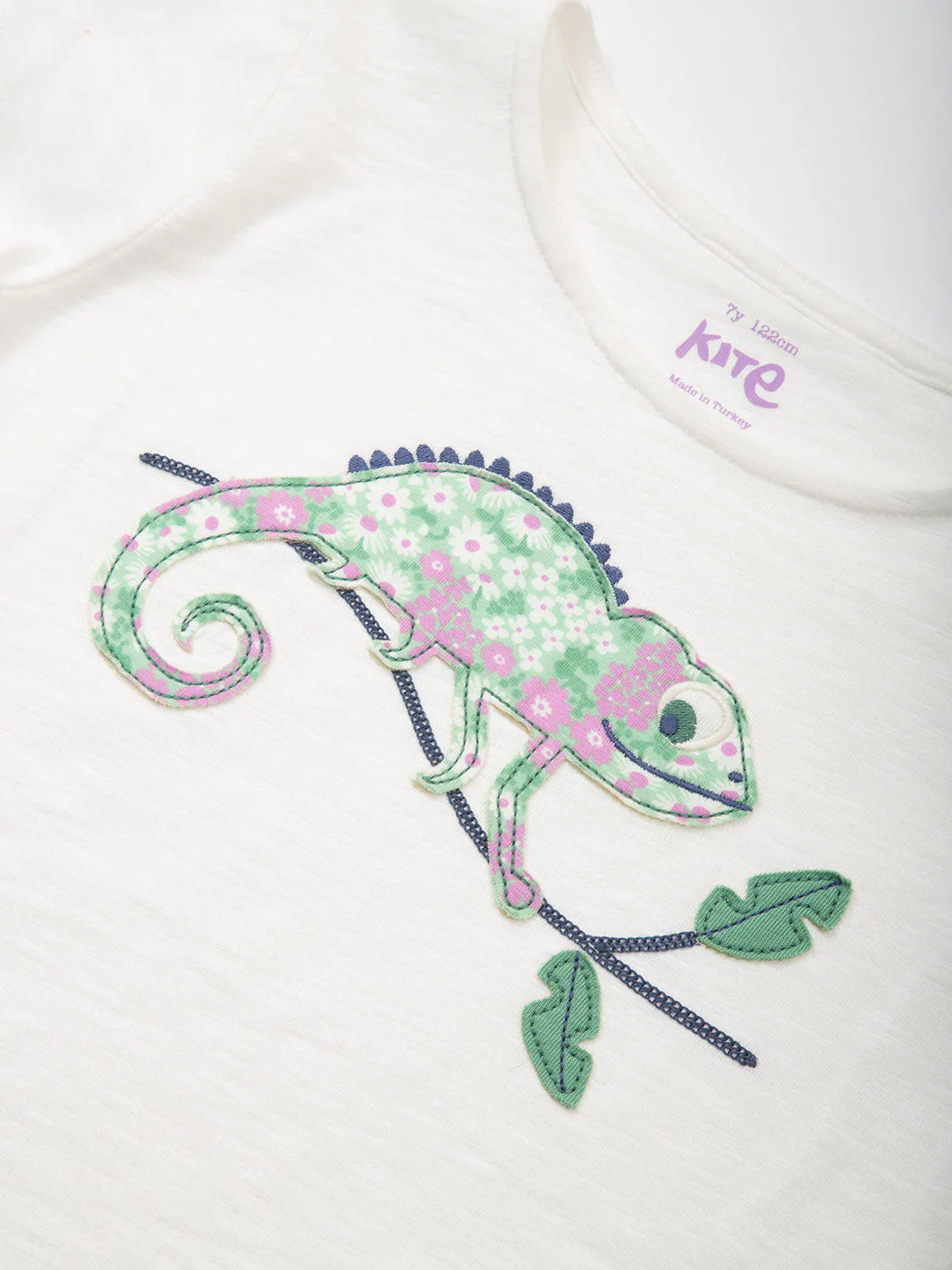 Cool Chameleon T-Shirt - Image 5