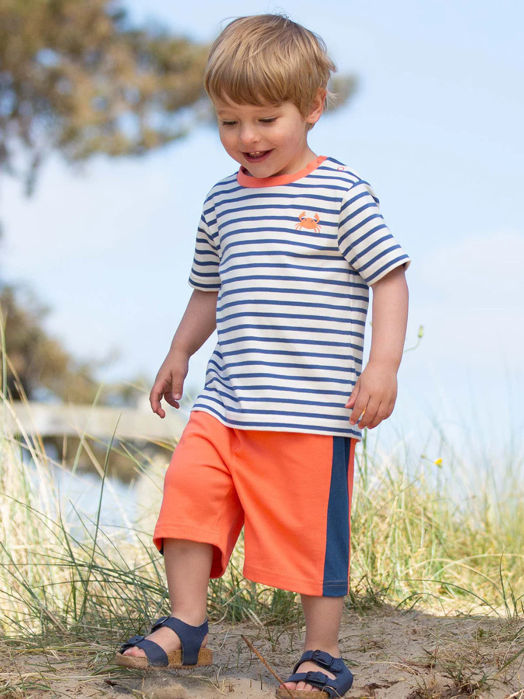 Corfe Shorts Mandarine - Image 2
