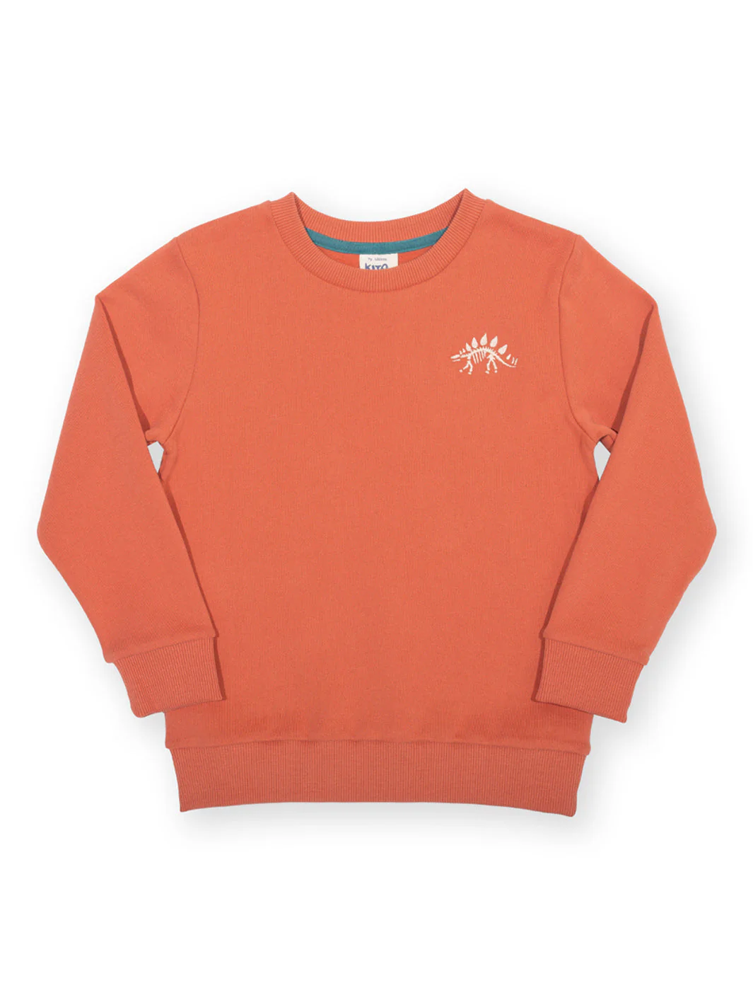 Dino Discovery Sweatshirt