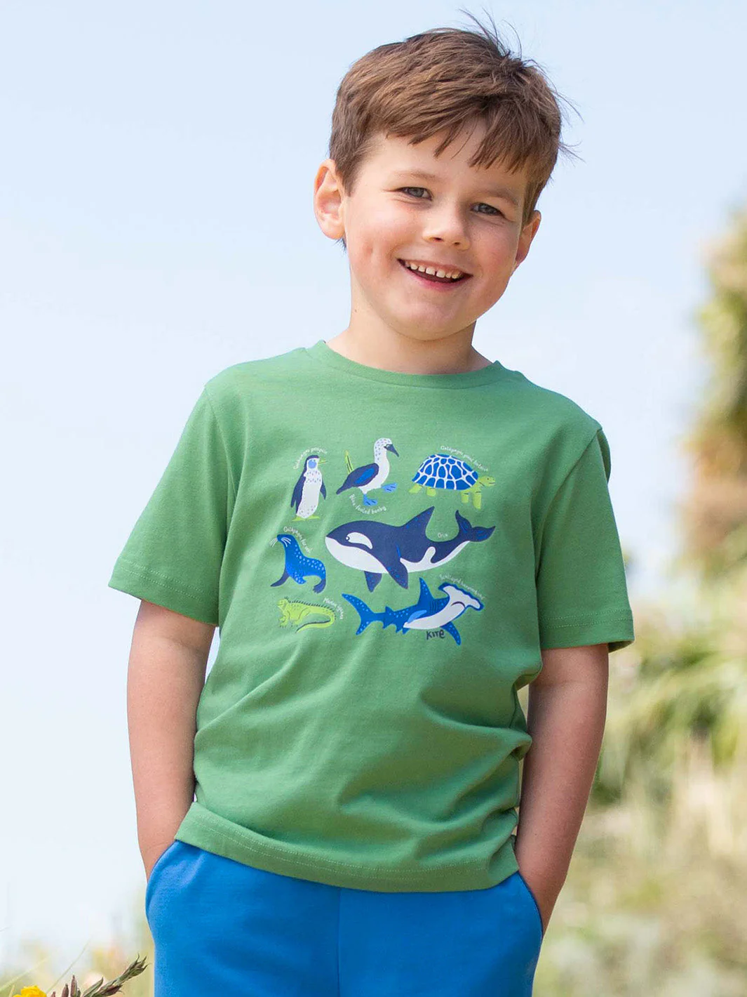 Galapagos T-Shirt - Image 2