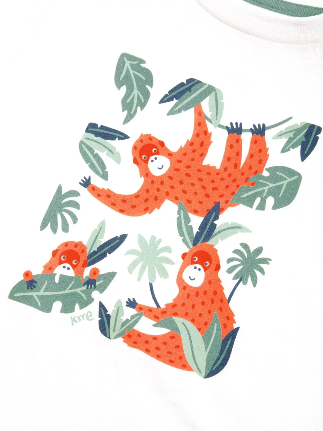 Orangutan T-Shirt - Image 7